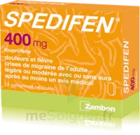 Spedifen 400 Mg, Comprimé Pelliculé Plq/12 à RUMILLY